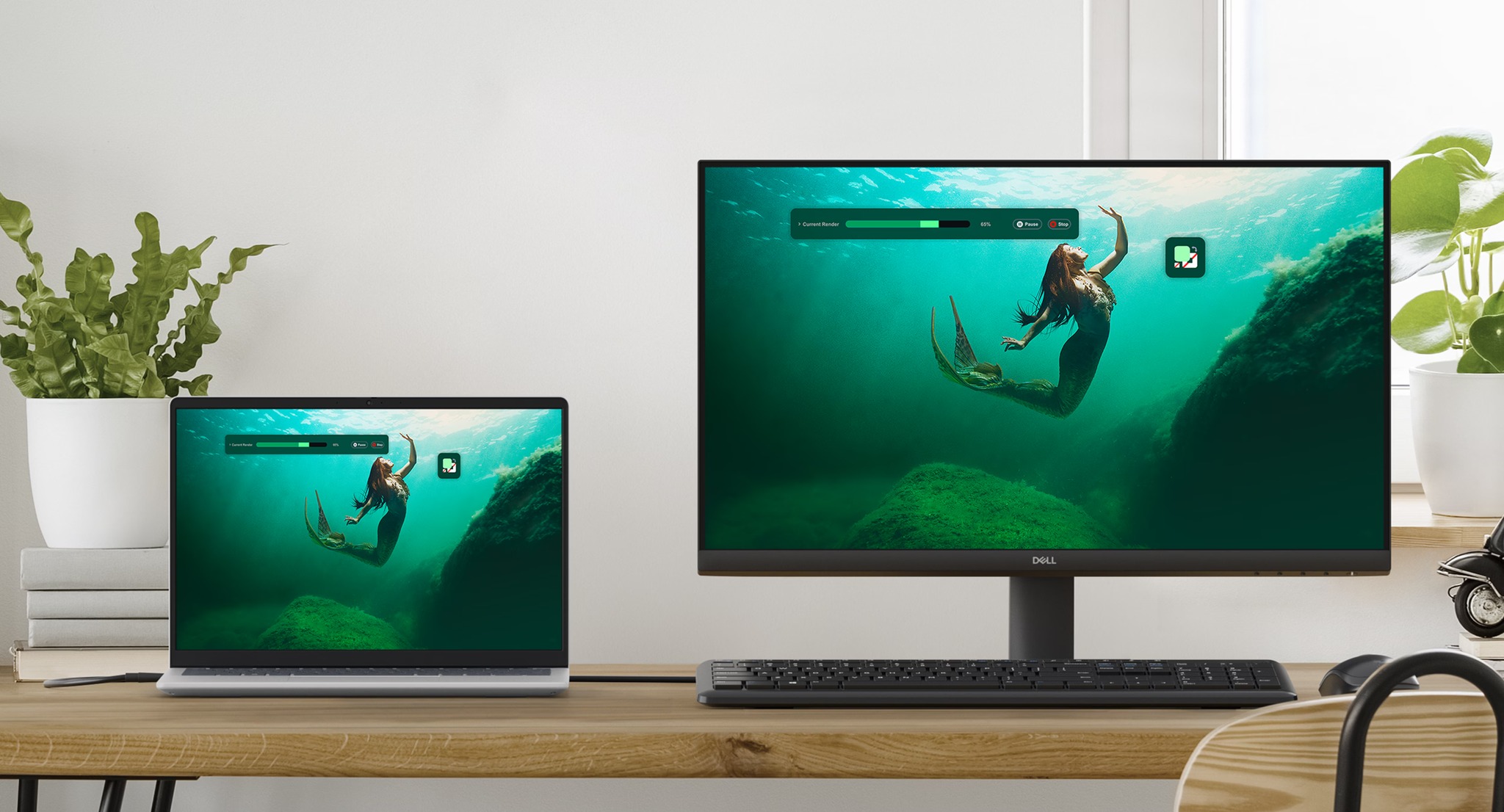Màn Hình Dell SE2425HM (23.8Inch/ Full HD/ 8ms/ 100HZ/ 250cd/m2/ IPS) ảnh 1