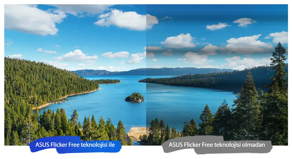 Màn hình Asus VP229HF (21.5Inch/ Full HD/ 1ms/ 100HZ/ 250cd/m2/ IPS) ảnh 3
