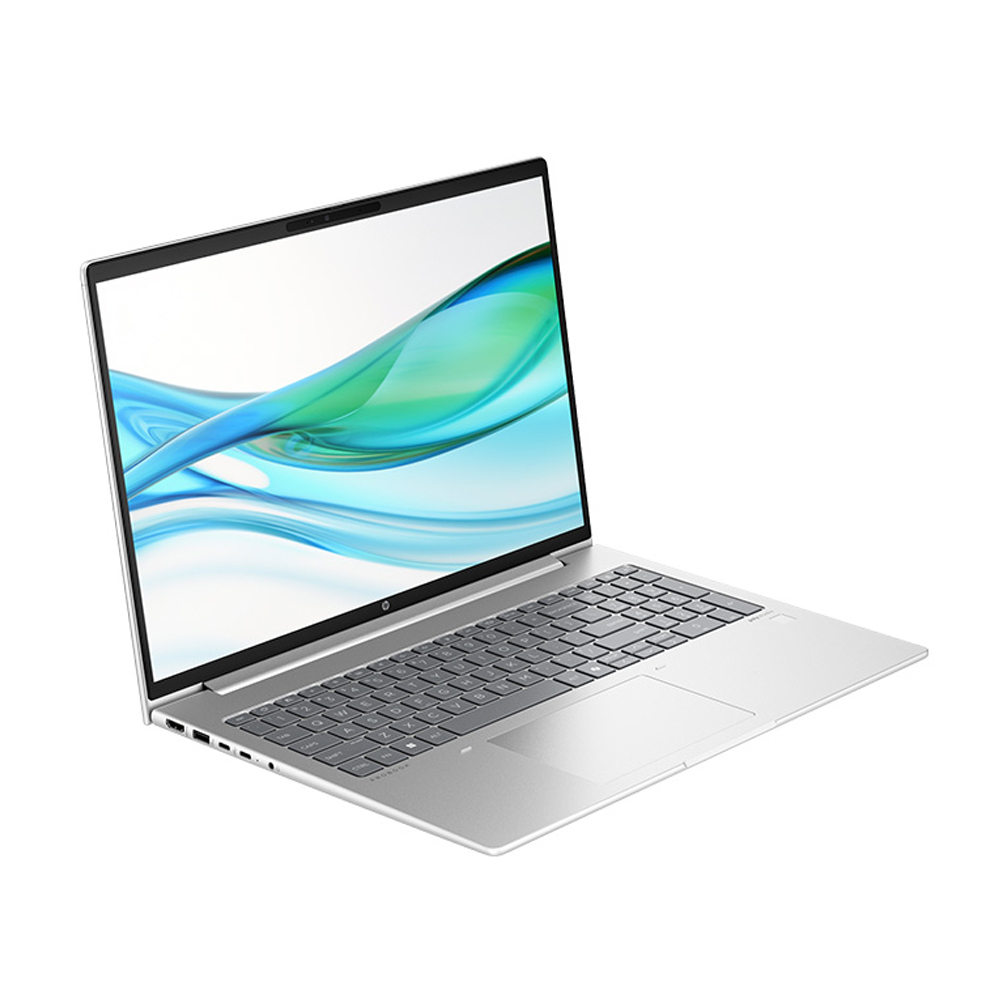 Laptop HP Probook 465 G11 A8XG2PT ảnh 1