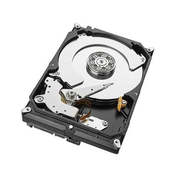 Ổ cứng camera Seagate Skyhawk AI 10TB ST10000VE001 ảnh 3