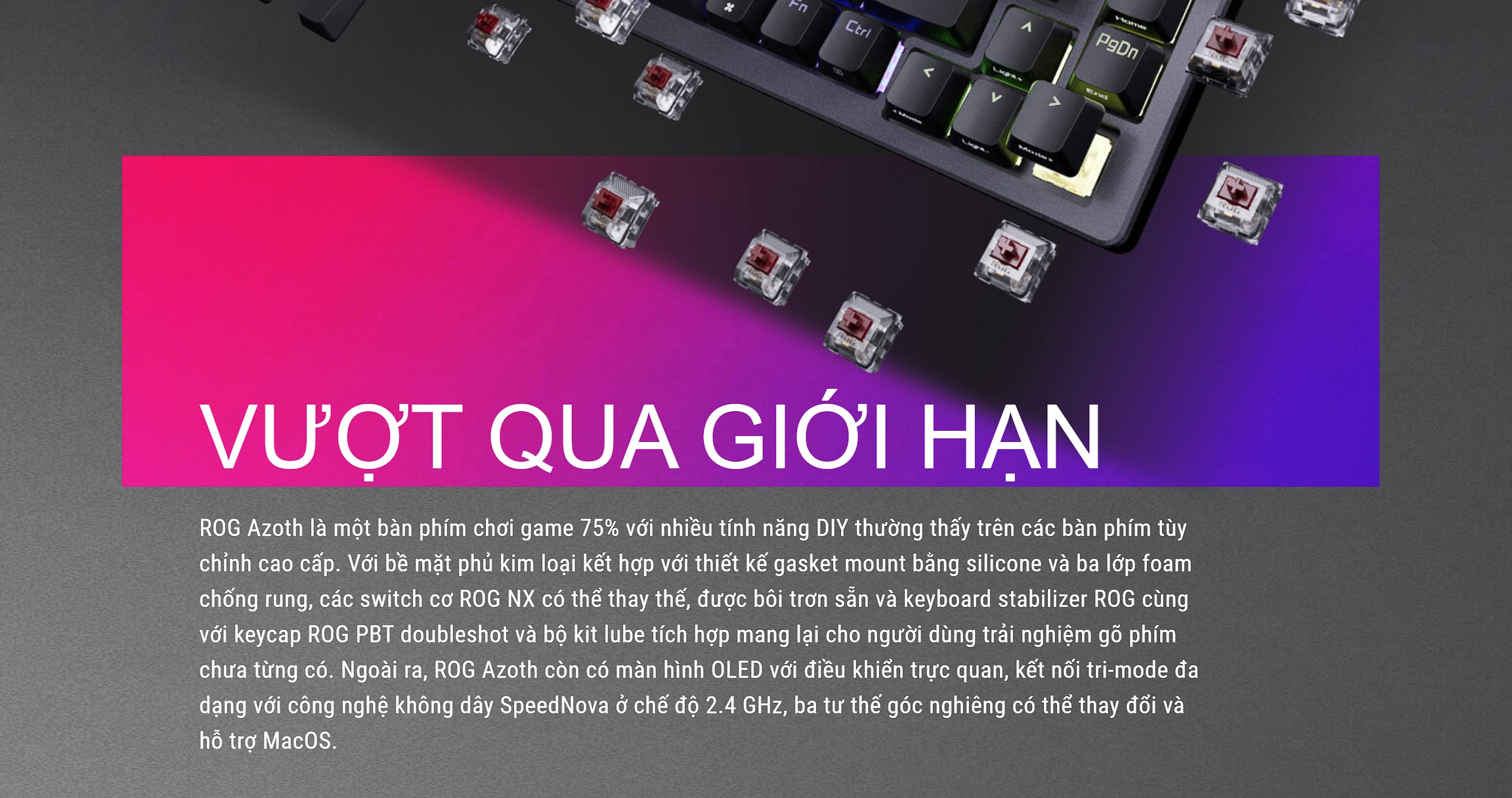 Bộ bàn phím ASUS ROG Azoth - hình 5