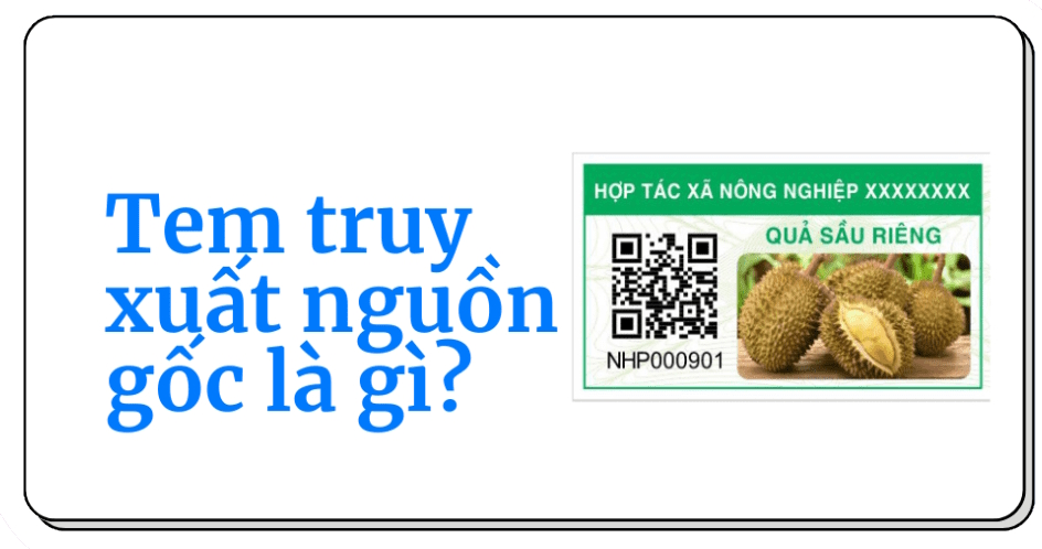In tem nhãn truy xuất nguồn gốc cho nông sản xuất khẩu nội địa