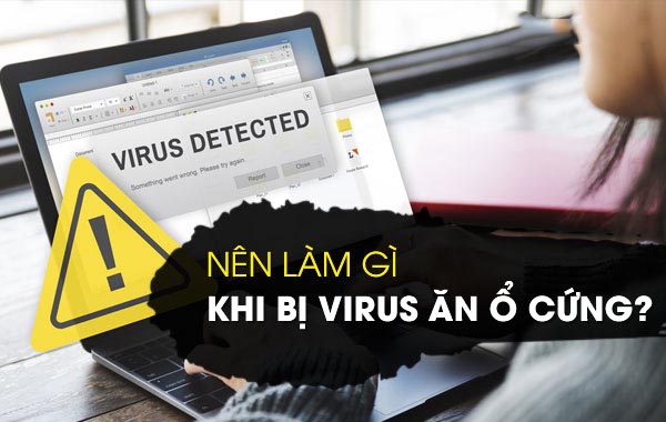 Nên làm gì khi bị virus ăn ổ cứng?