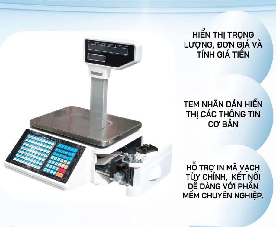 Cân điện tử TM-A 30kg - Giải pháp siêu thị cân thịt cá, rau quả