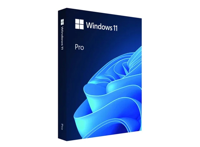 Microsoft Windows 11 Pro 64-bit USB FPP (Bản quyền vĩnh viễn) - HAV-00163
