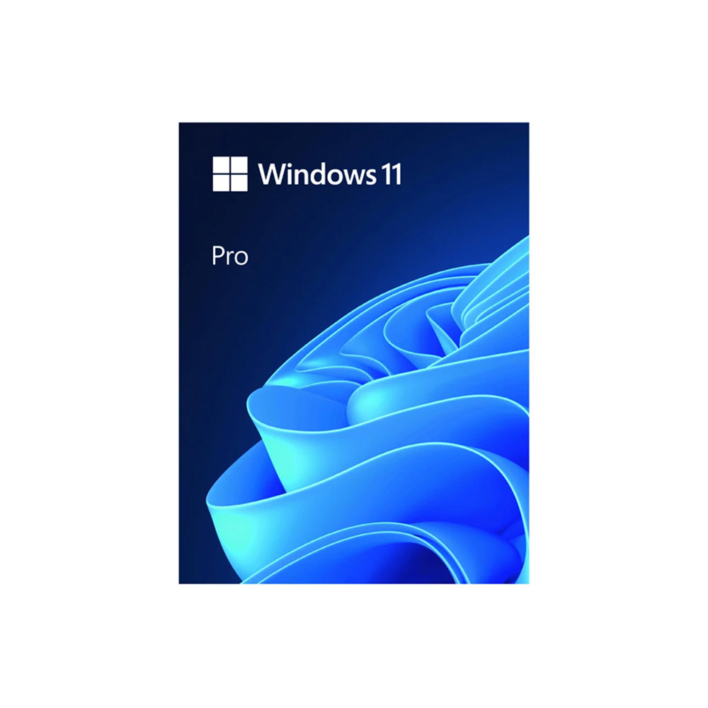 Microsoft Windows 11 Pro 64-bit USB FPP (Bản quyền vĩnh viễn) - HAV-00163