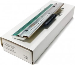 250_897_dau_in_ma_vach_zebra_z