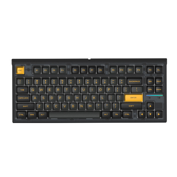 Bàn phím cơ FL-Esports FL750 Polar Night 3 Mode - Gasket Mount Kailh Cilone Limacina